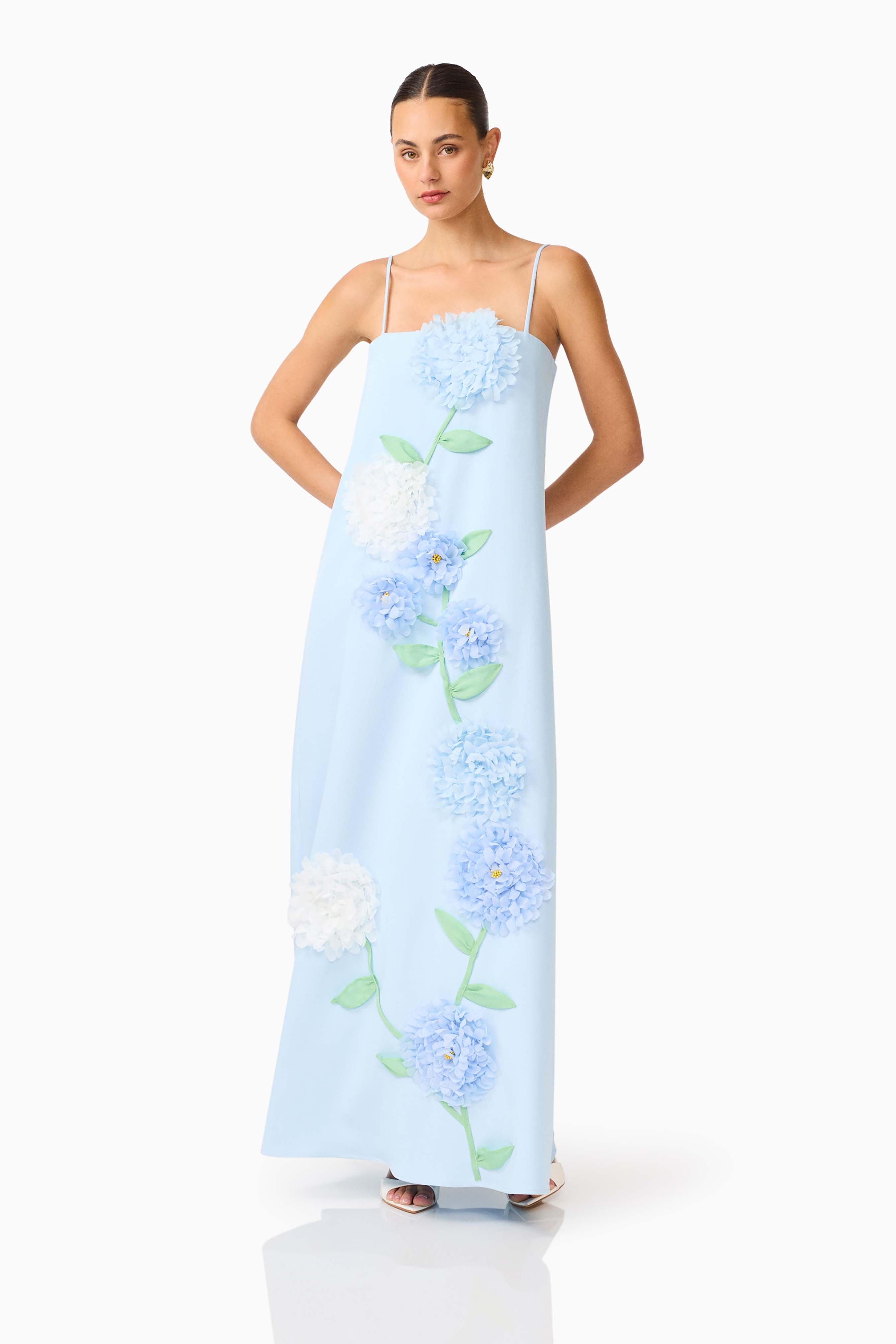 Buttercup Embroidered Maxi Dress In Blue