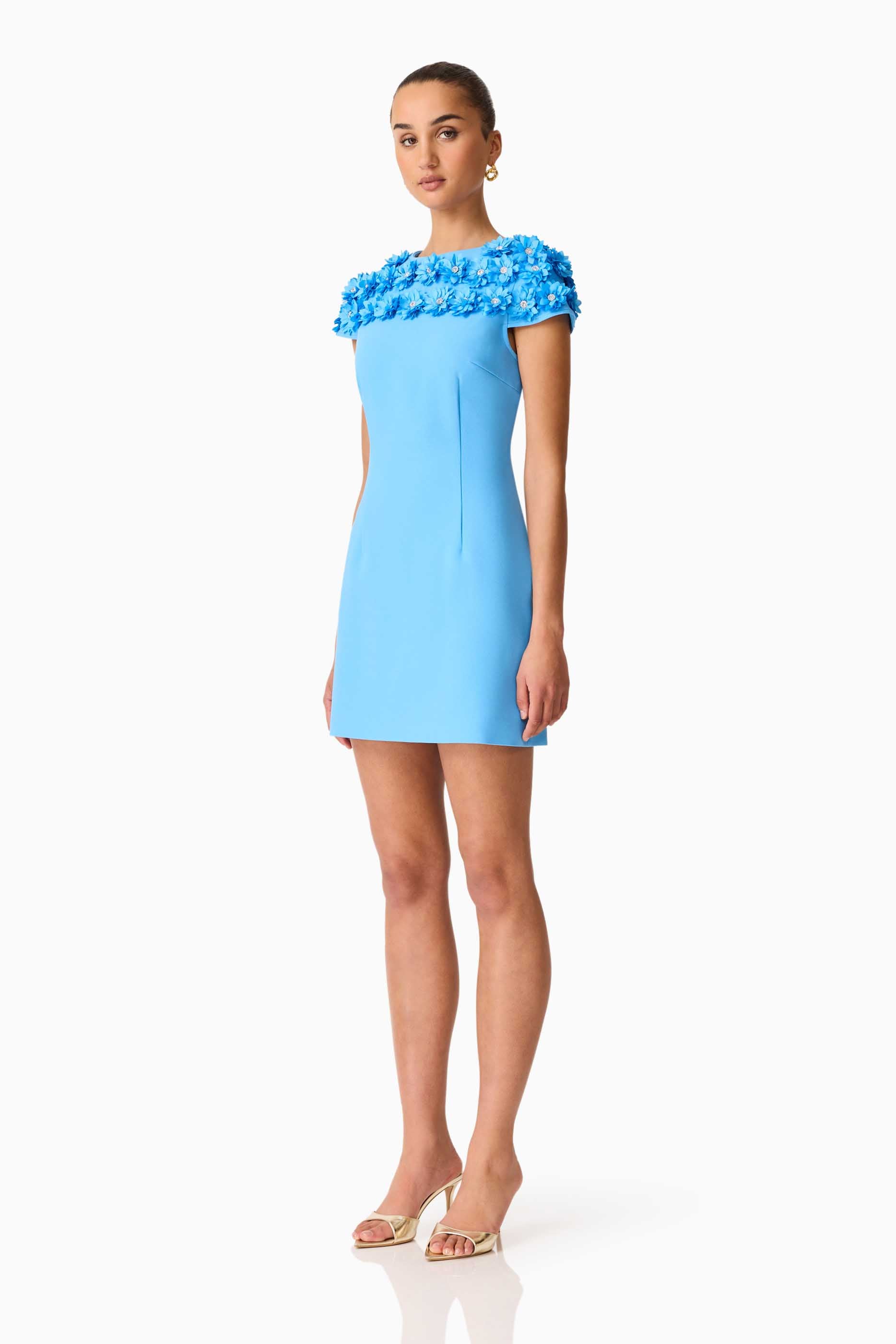 Dali Floral Applique Mini Dress in Blue